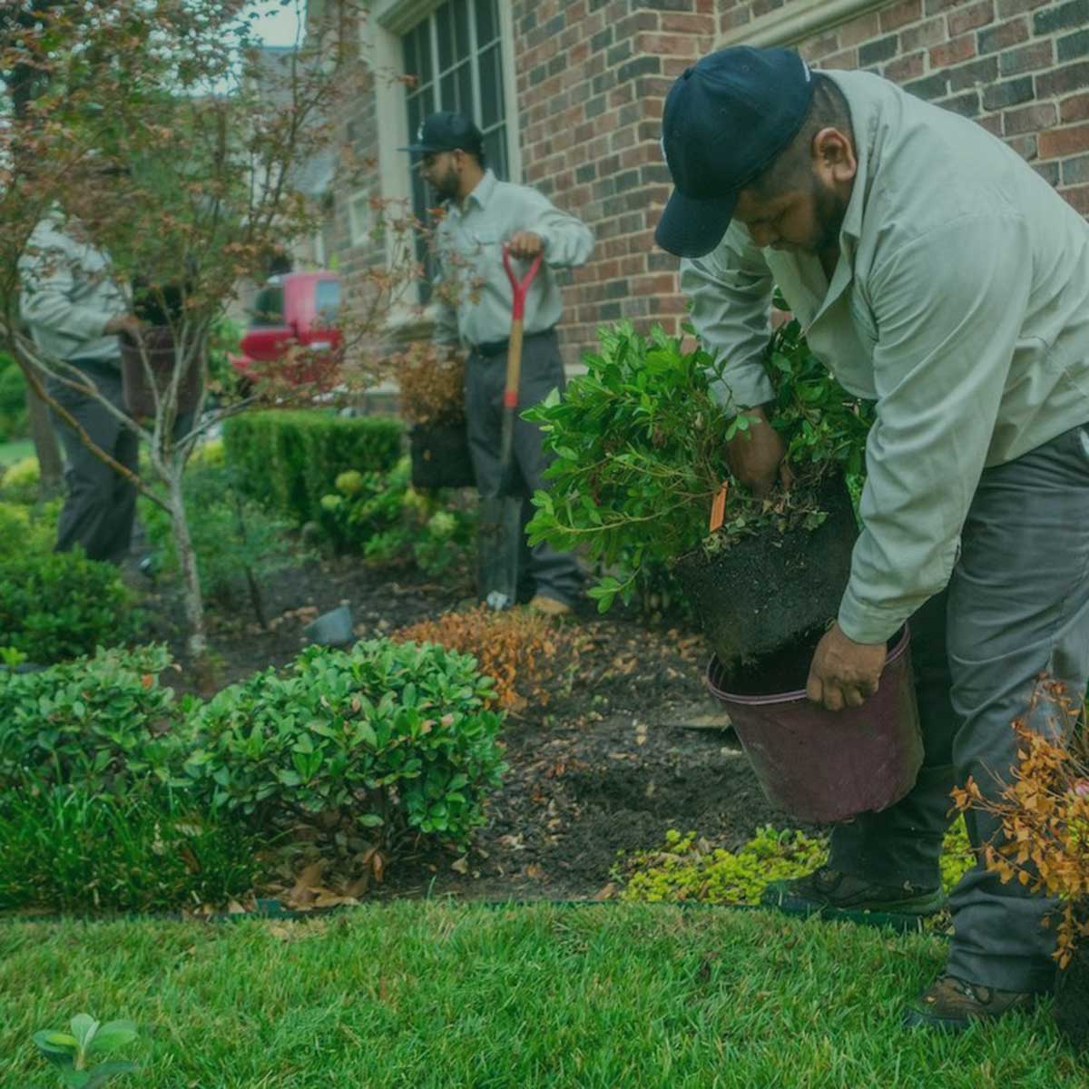 Landscape & Irrigation